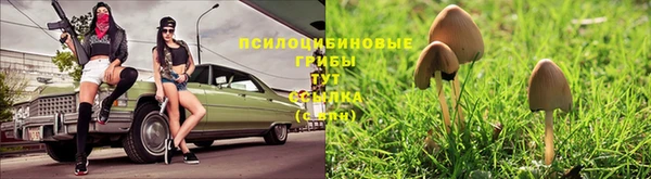 jwh Касимов